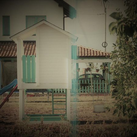 Hotel Fragaria Zimandcuz Exterior foto