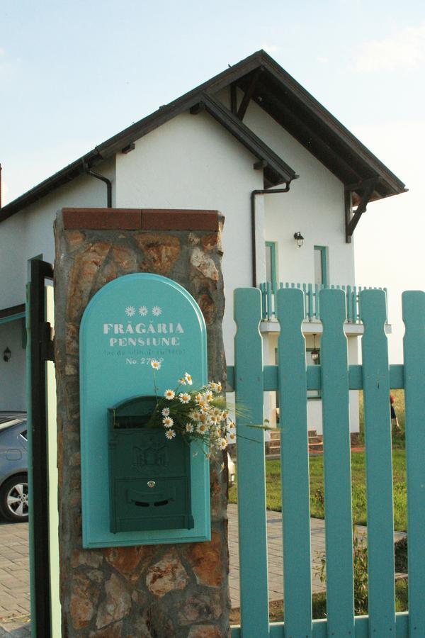 Hotel Fragaria Zimandcuz Exterior foto